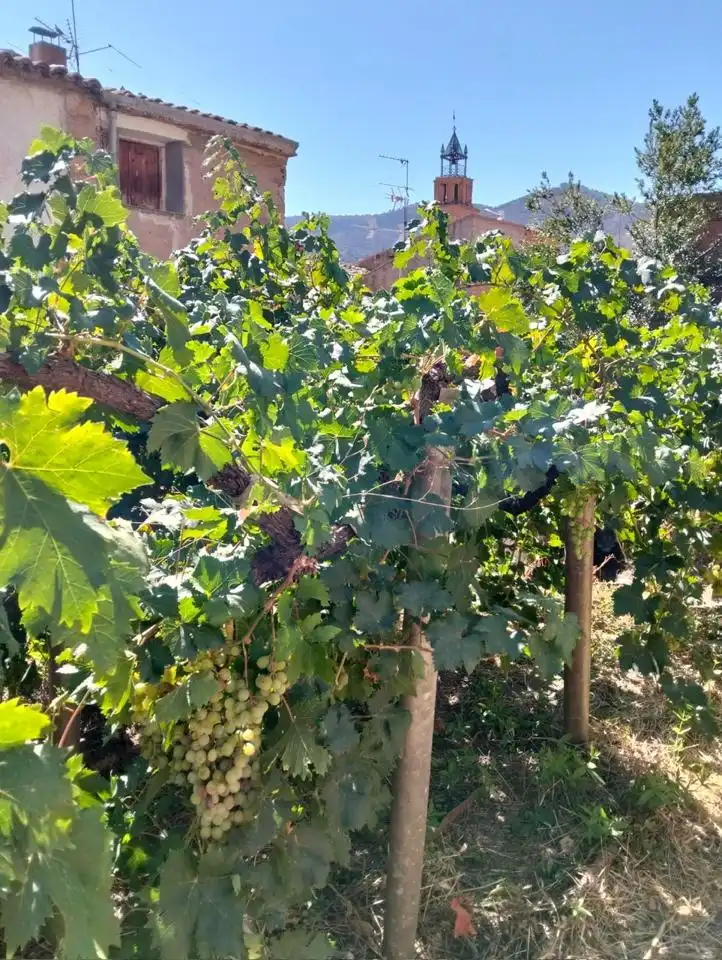 Maison avec jardin à vendre à Camino Casa del Lugar, imagen 45