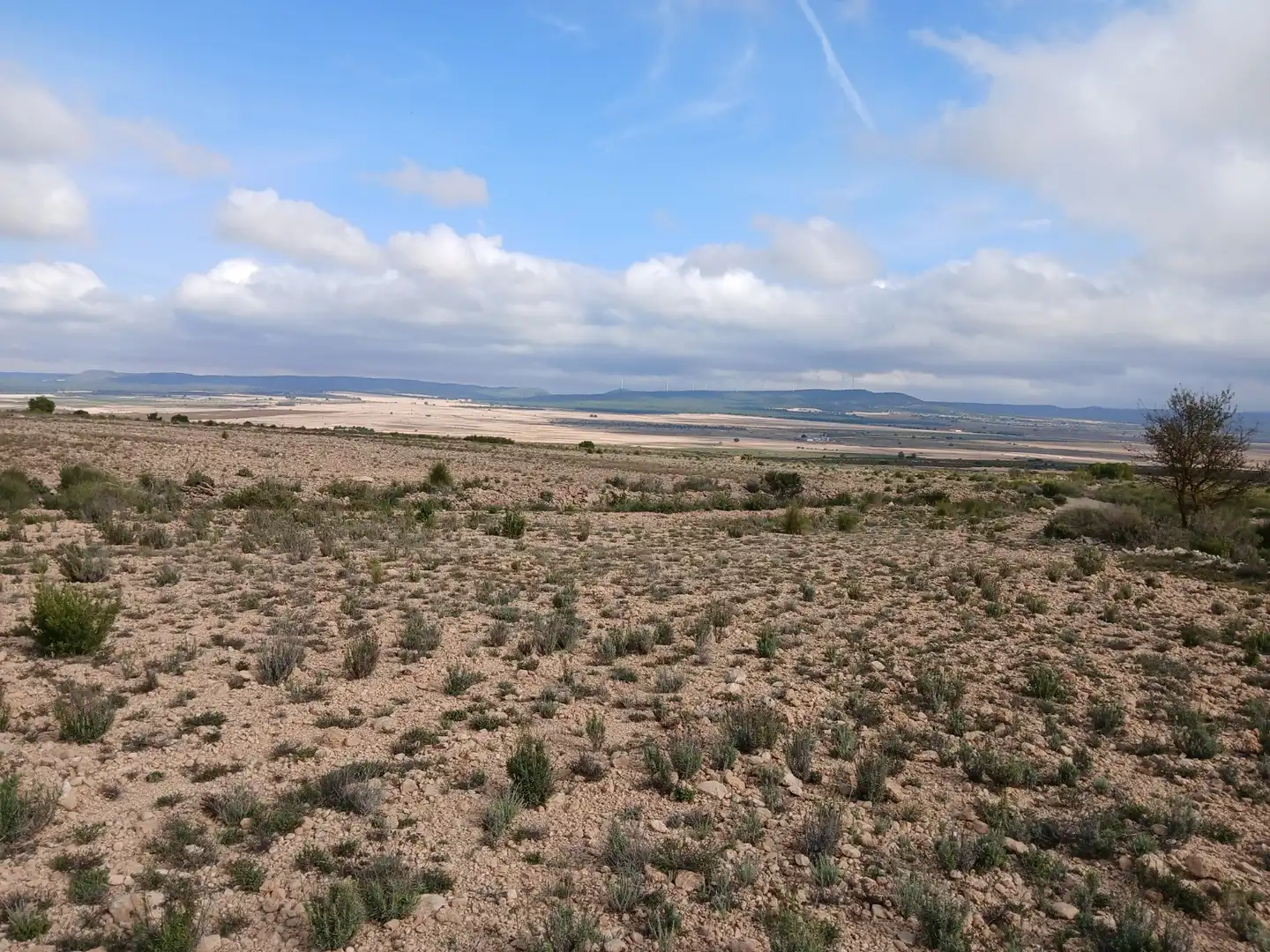 Residential land for sale in Yecla, imagen 5