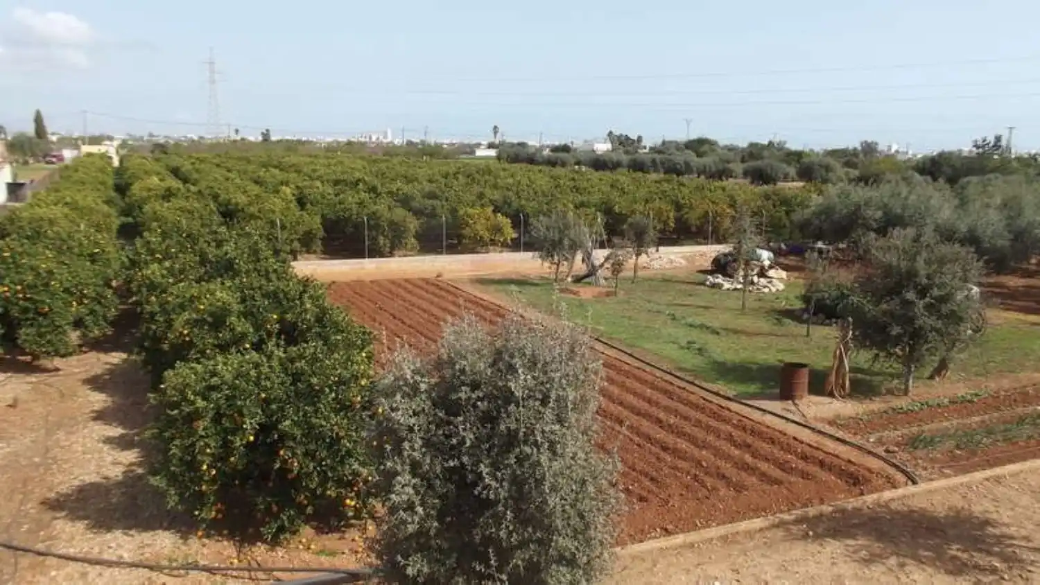 Haus oder Chalet zum Verkauf in Peñíscola / Peníscola mit Klimaanlage und Privatgarten