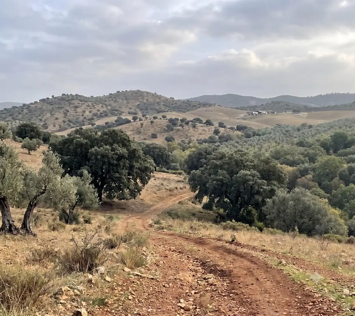 Finca rústica en venda en Almadén