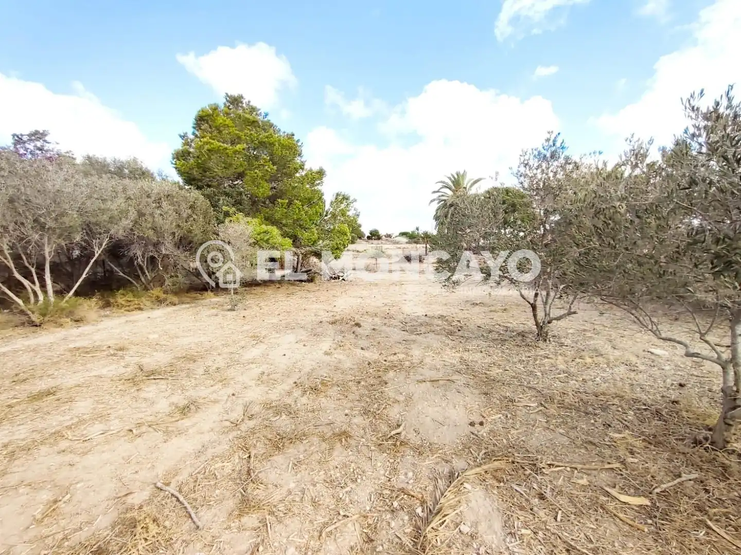 Terreno en venta en Elche / Elx