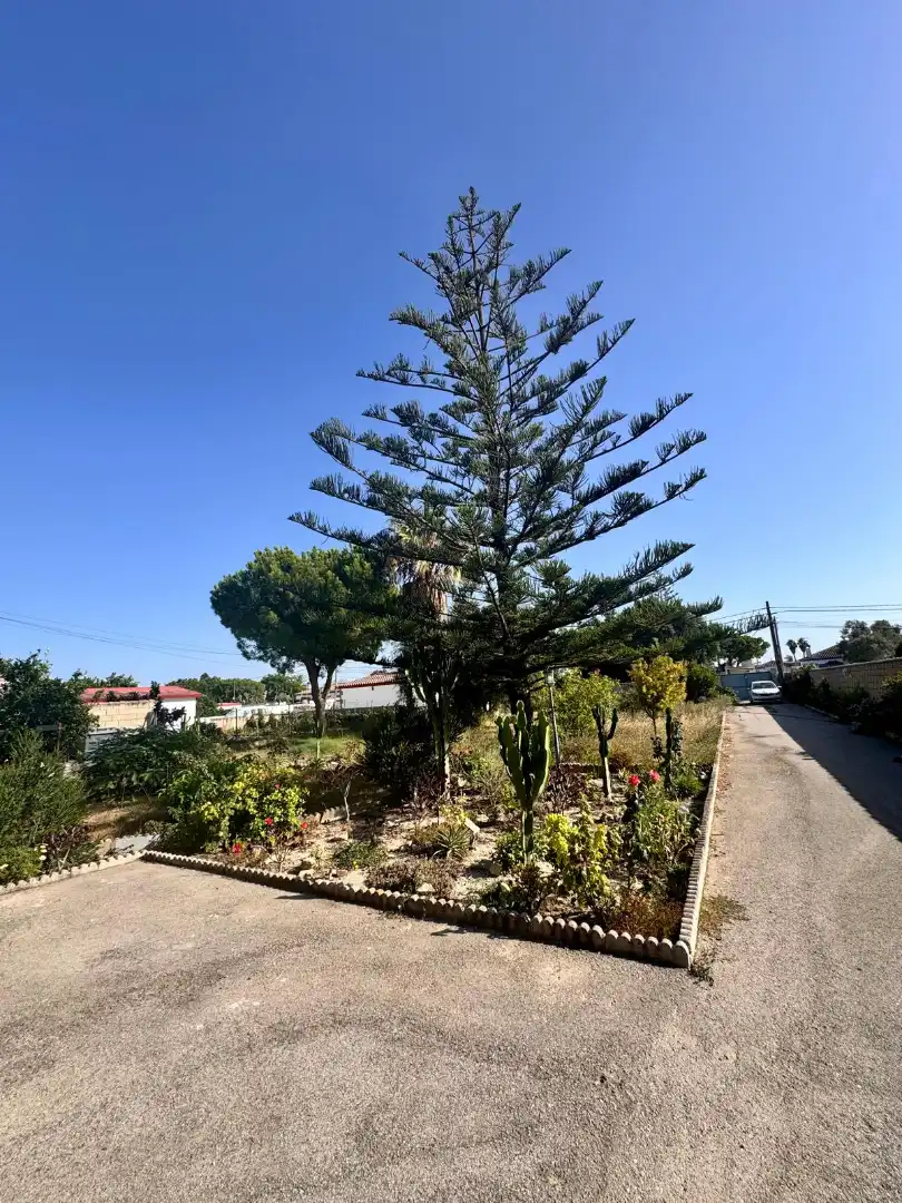 Haus oder Chalet zum Verkauf in Chiclana de la Frontera