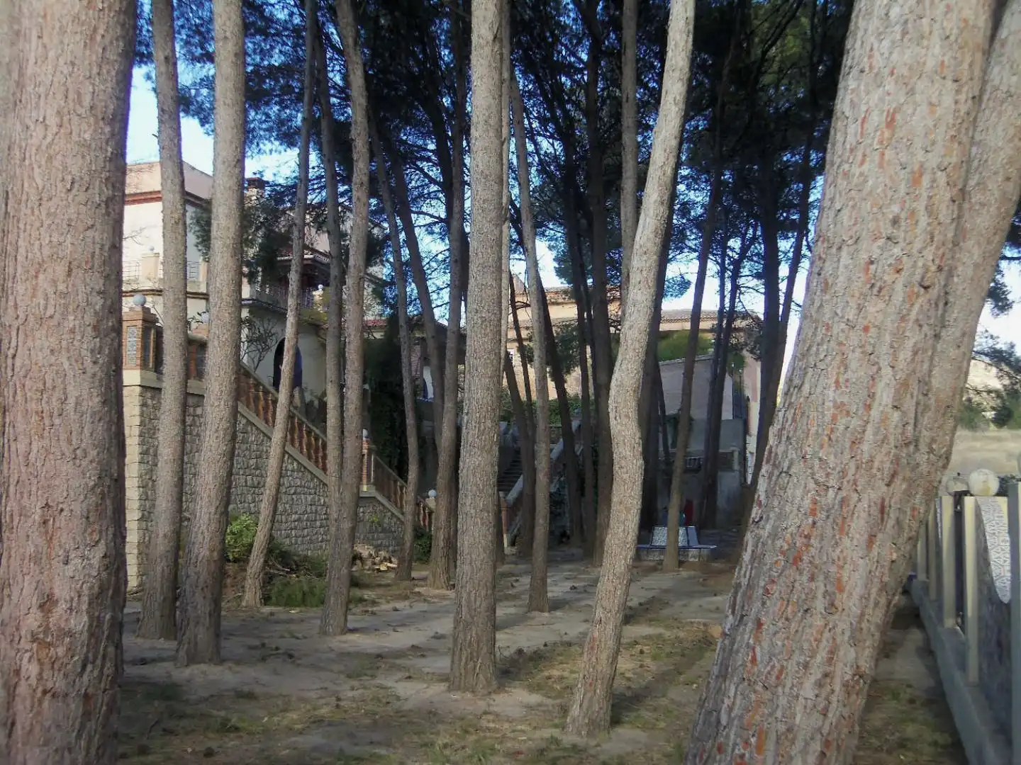 Haus mit Pool zum Verkauf in Avenida Perez Galdos 10, imagen 3