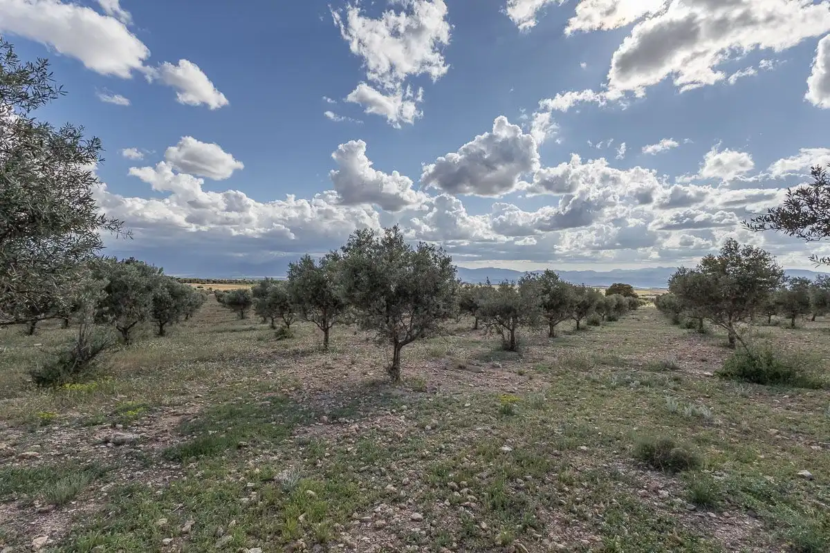 Terreni e lotti in vendita a la finca el launero guadix #guadix #guadix, imagen 36