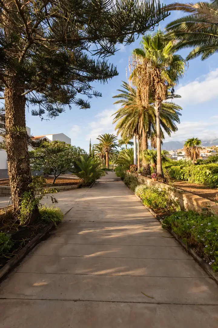 Vista exterior de Casa o xalet en venda en Candelaria amb Aire condicionat, Jardí privat i Terrassa