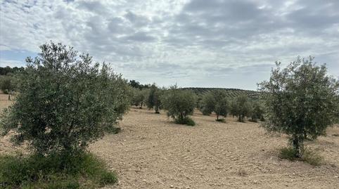 Foto 5 de Residencial en venta en De la Doctora, Alameda, Málaga