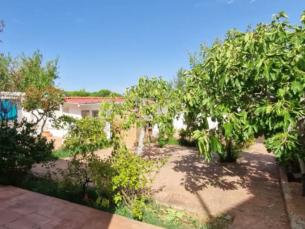 Jardí de Casa o xalet en venda en Prado de Somosaguas - La Finca
