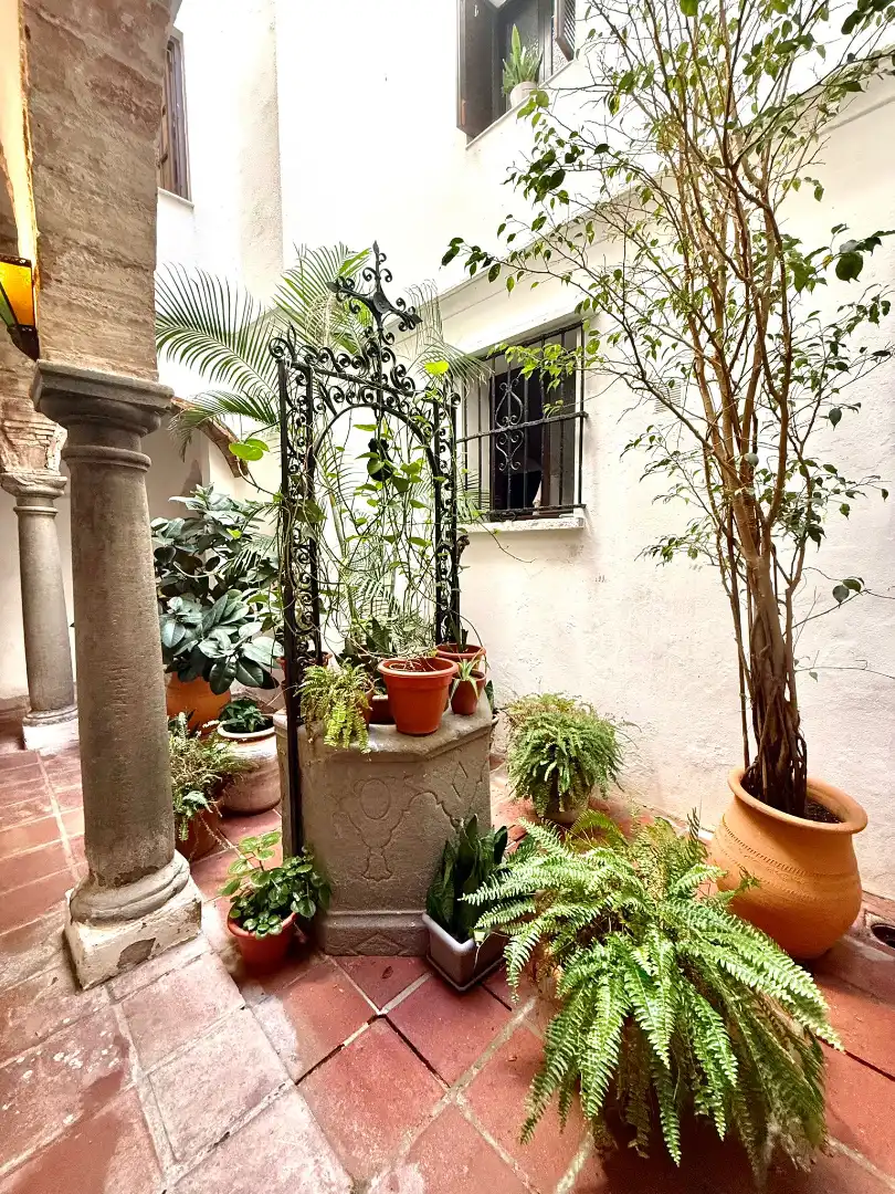 Garden of Attic for sale in Tarifa  with Air Conditioner, Terrace and Furnished