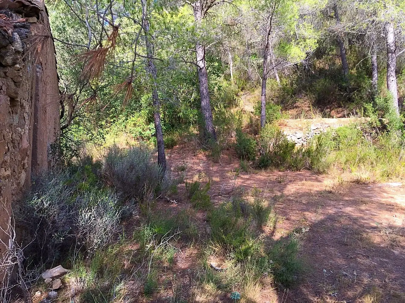 Country homes for sale in Benifallet