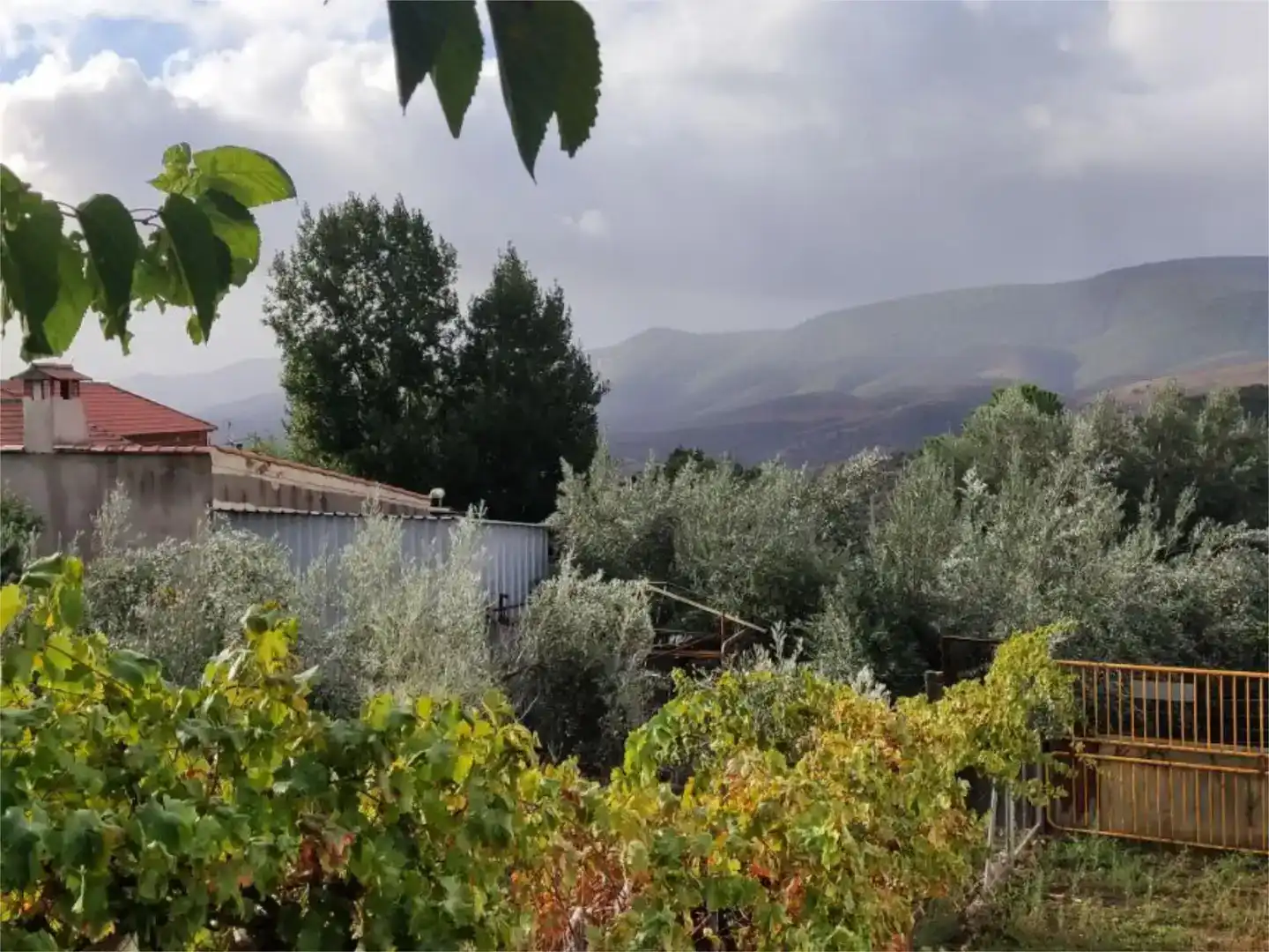 Jardín de Finca rústica en venta en Mestanza con Amueblado