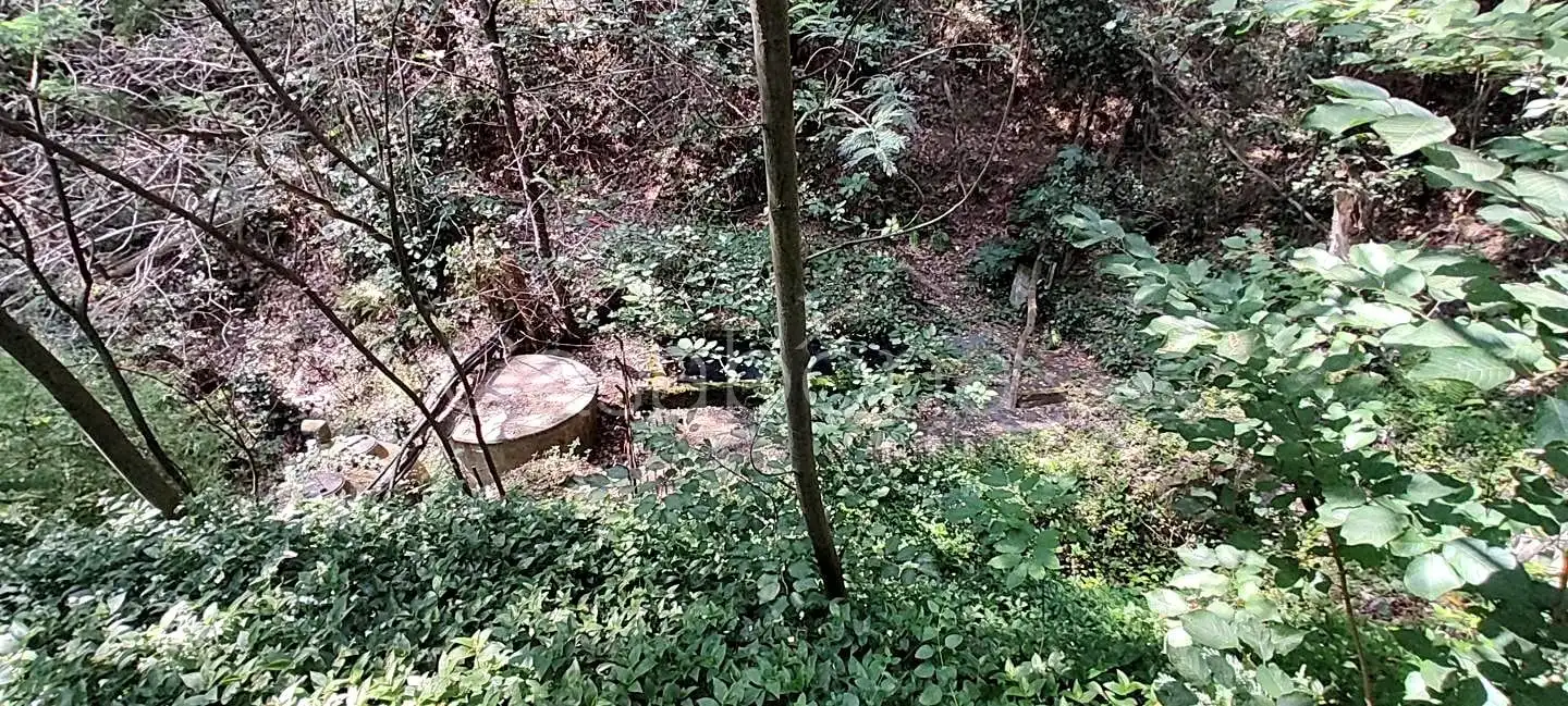 Finca rústica en venta en Arbúcies con Jardín privado, Terraza y Amueblado