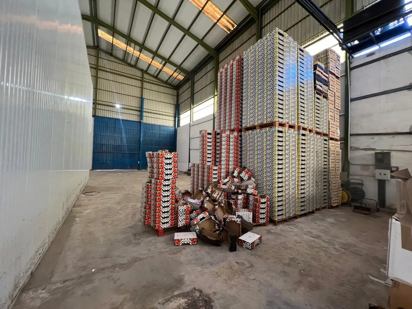 Fabrikhallen zur Miete in Elche / Elx