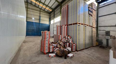 Photo 5 of Industrial buildings to rent in Perleta - Maitino, Alicante