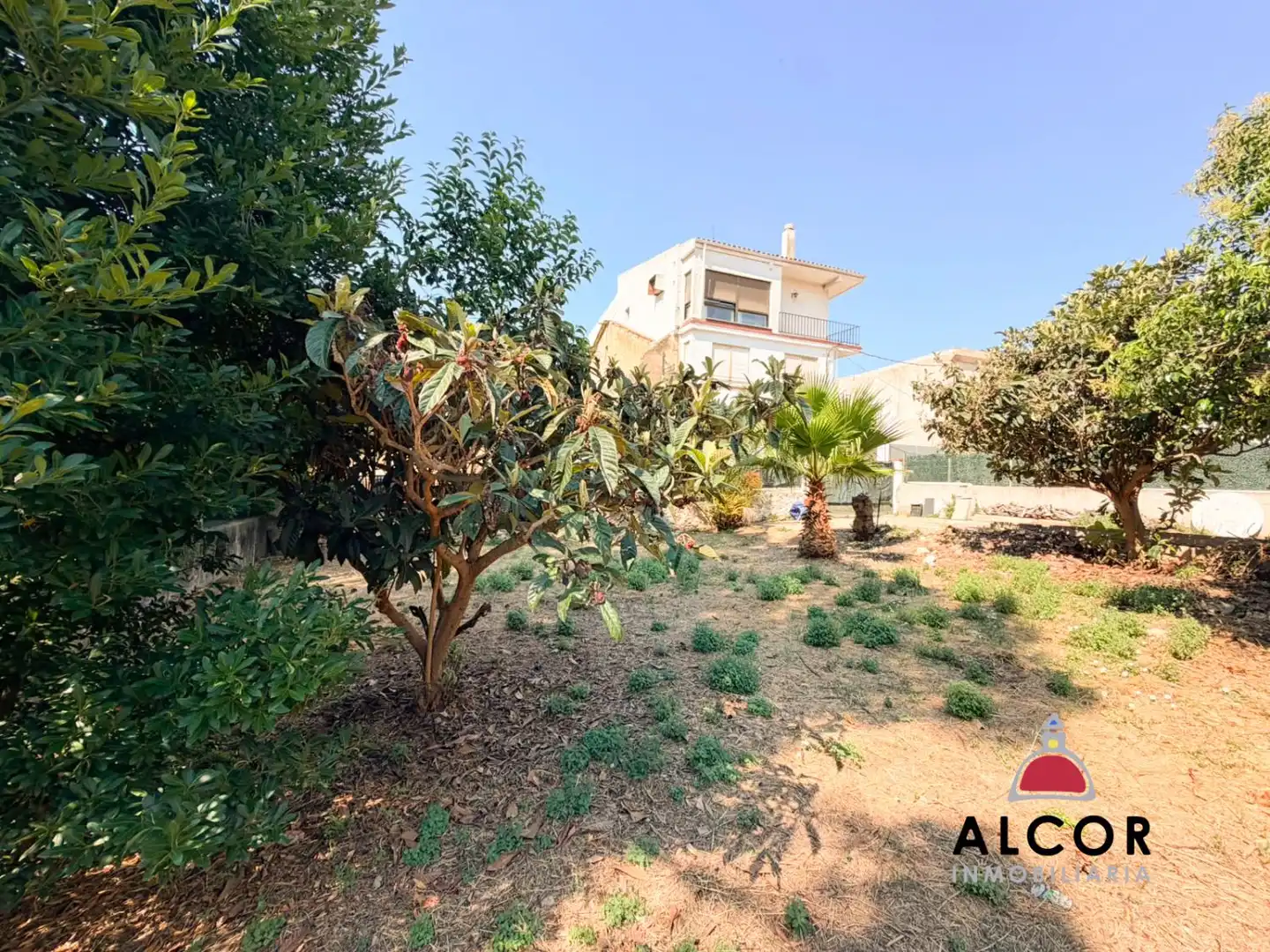 Lands and plots for sale in Alcalà de Xivert pueblo, imagen 6