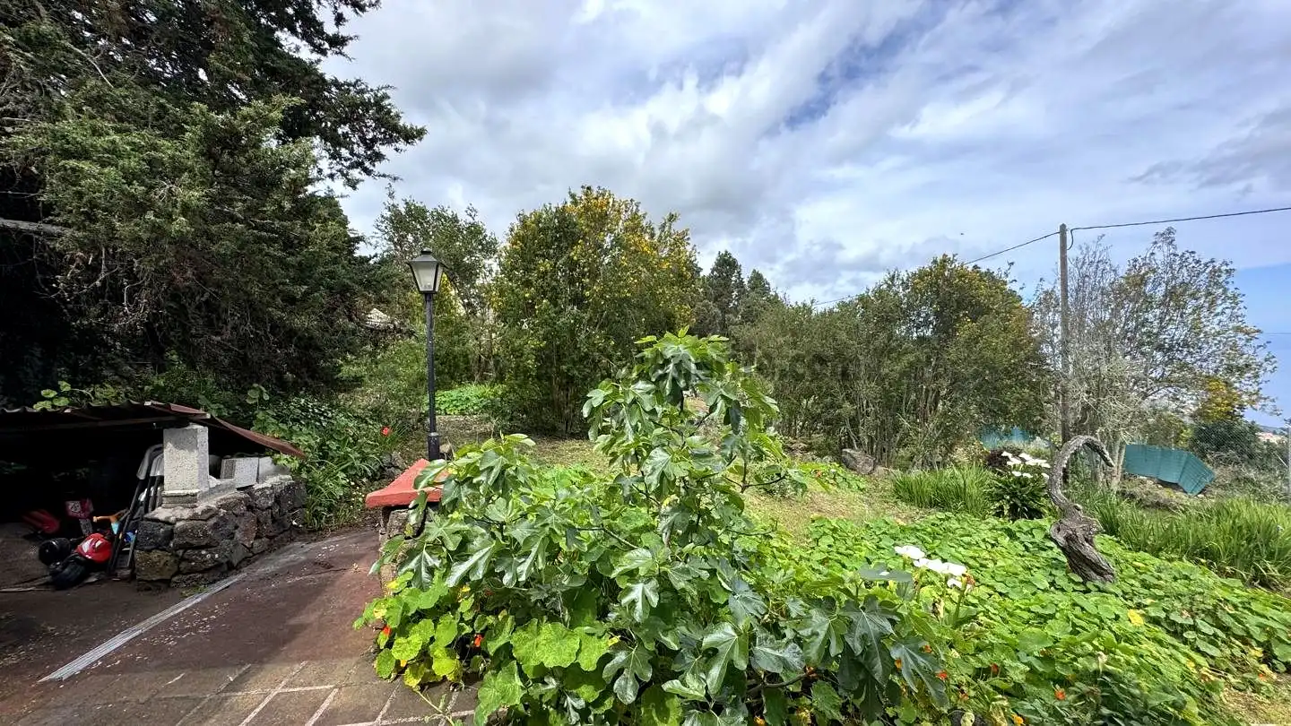 Jardín de Finca rústica en venta en Icod de los Vinos con Piscina
