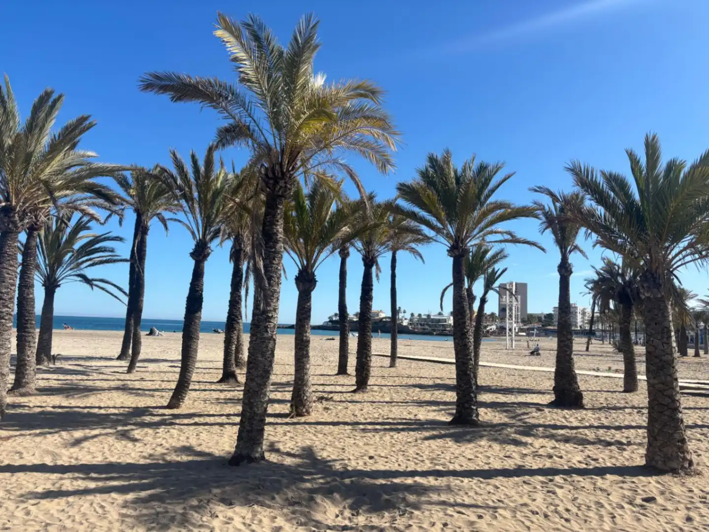 Exterior view of Apartments for sale in Jávea / Xàbia  with Terrace