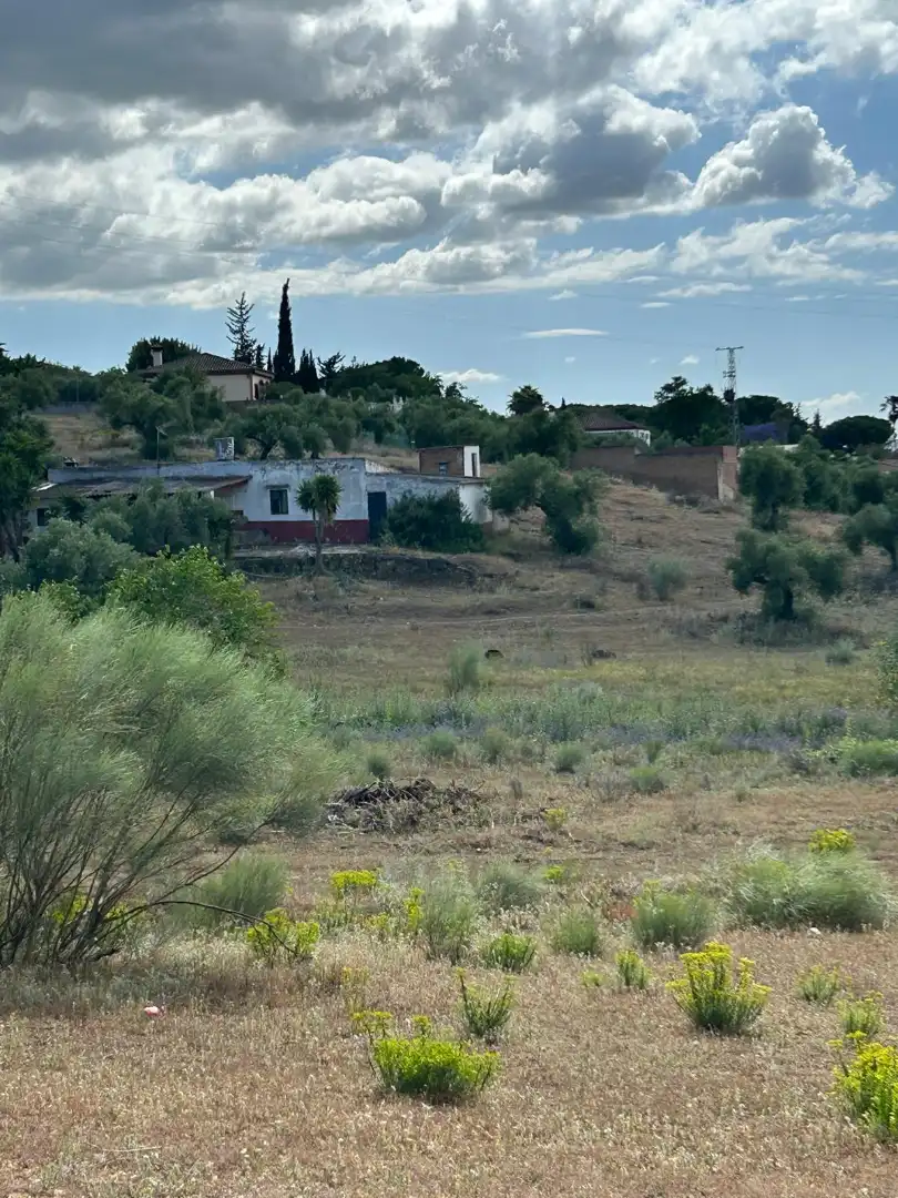 Terrain rustique à vendre à Arcos de la Frontera, imagen 7