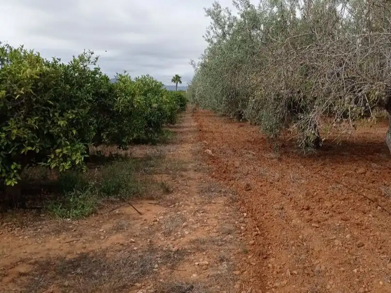 Maison rustique à vendre à Avinguda de la Llibertat 1, imagen 10