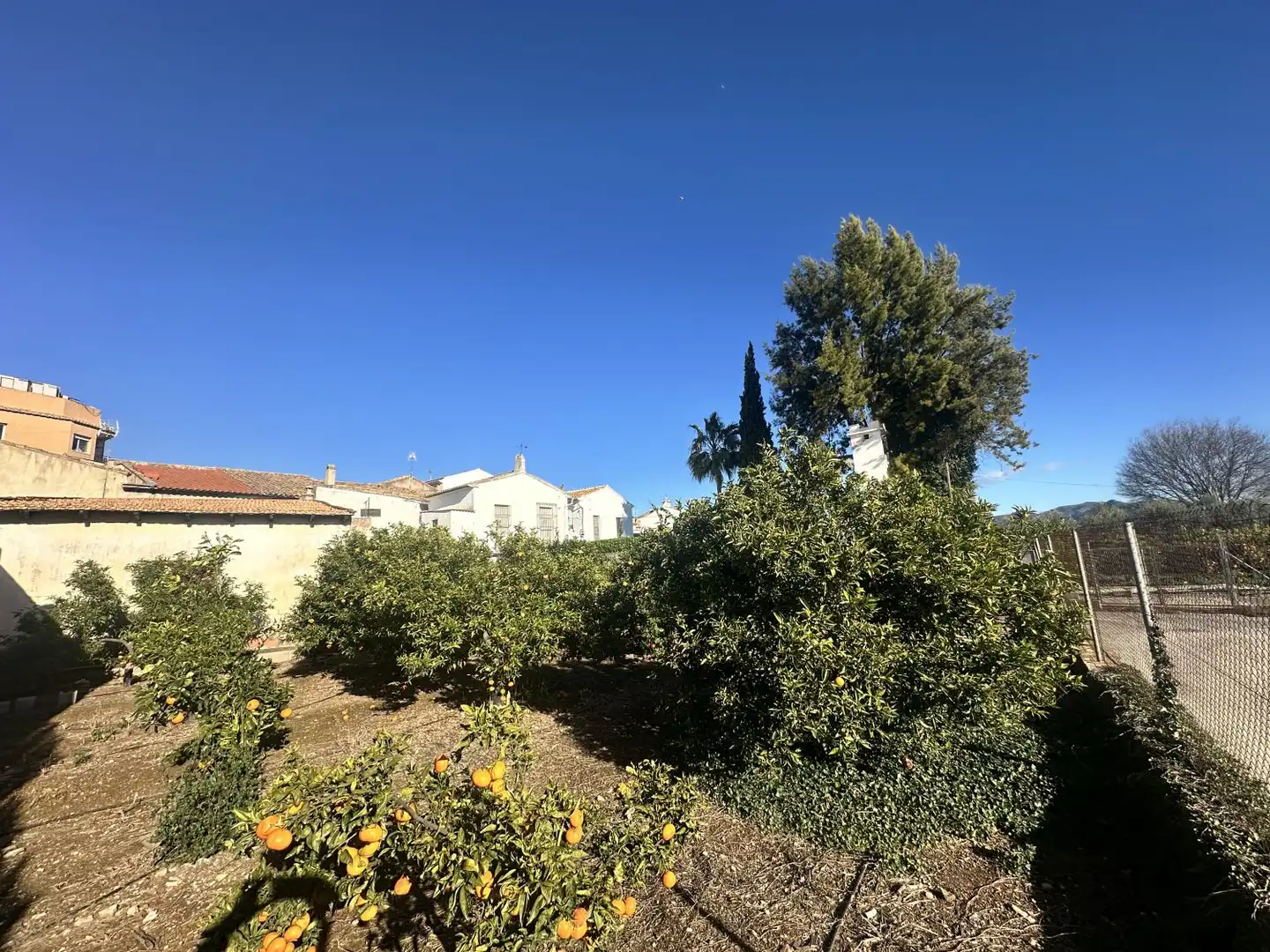 House with terrace for sale in Algímia de Alfara, imagen 48