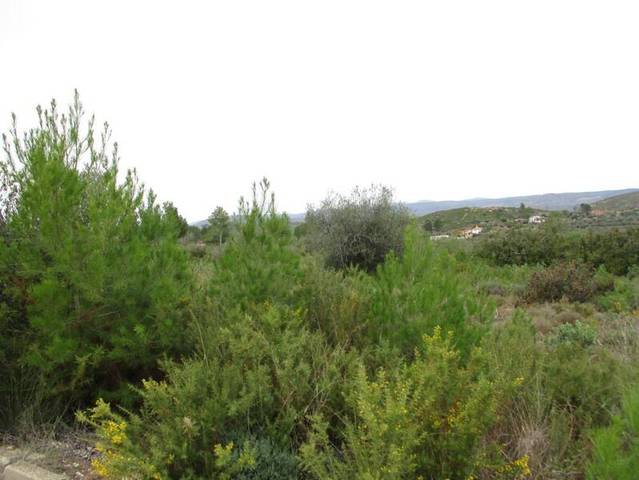 Terreno residencial en Venta en Llanorel en Macastre