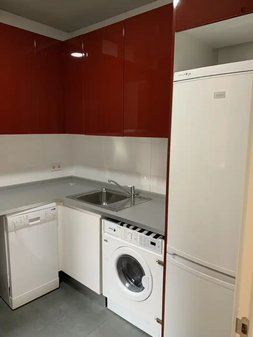 Cocina de Apartamento de alquiler en Centro