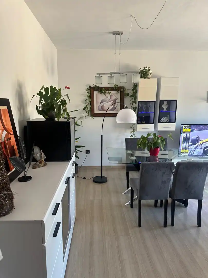 Sala d'estar de Apartament de lloguer en Granada amb Aire condicionat, Calefacció i Moblat