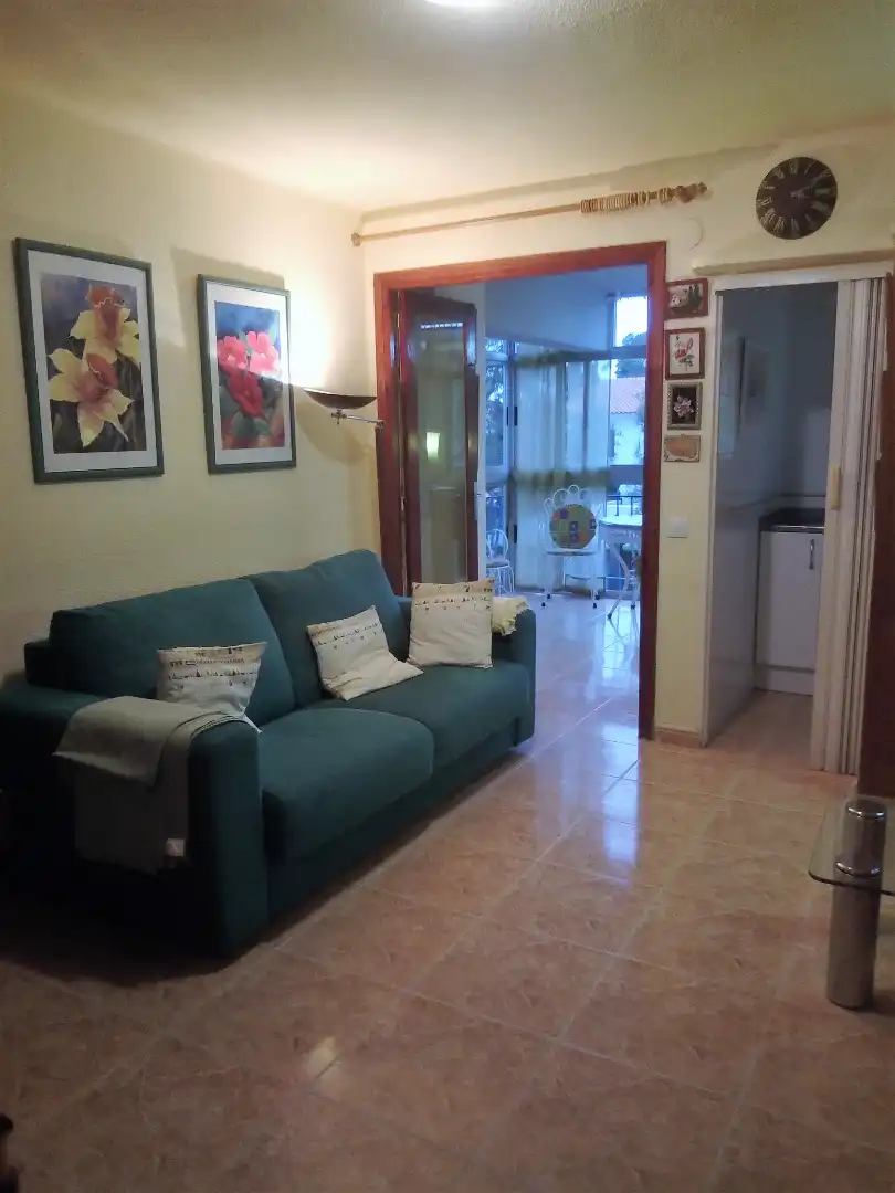 Sala d'estar de Apartament de lloguer en Benicasim / Benicàssim amb Terrassa, Moblat i Es permeten mascotes