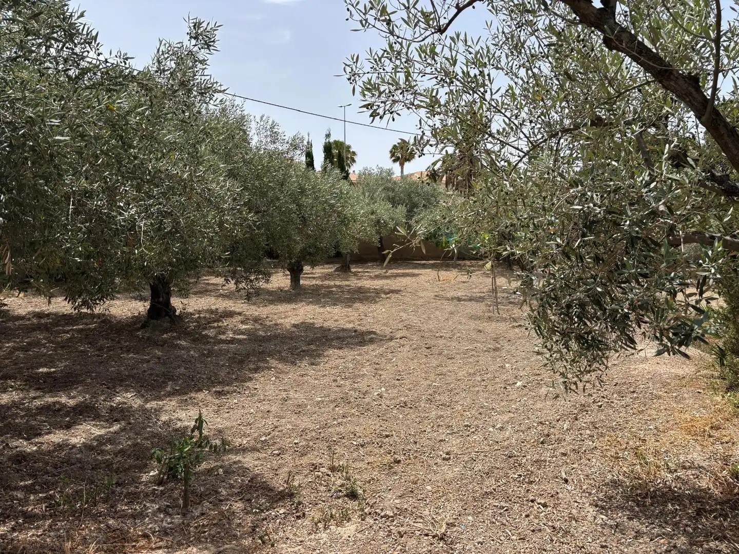 Casa o xalet en venda en Elda amb Aire condicionat, Calefacció i Jardí privat