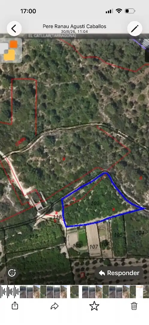 Terreny rústic en venda a Carretera del Catllar 22, imagen 17