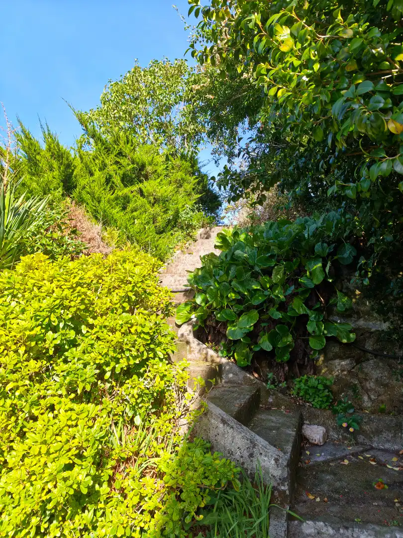 Casa con jardín en venta en Camiño do Rial 25, imagen 3