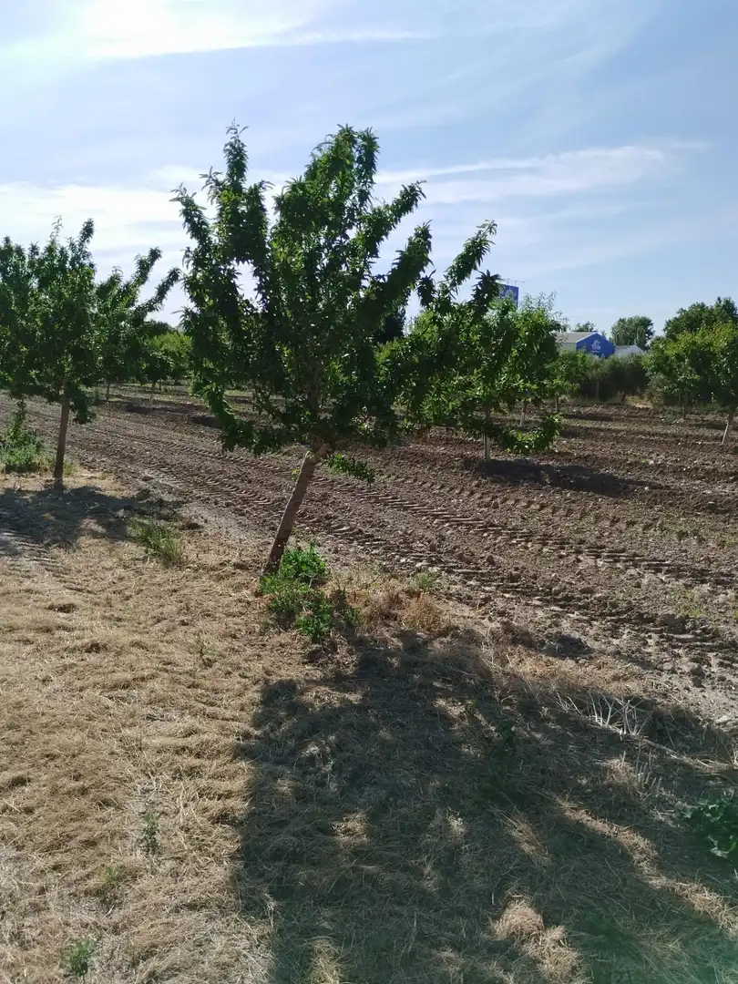 Terreni e lotti in vendita a Carretera Polígono 1 Parcela 83 PAGE BAJO. VILLA DE OTURA (, imagen 4