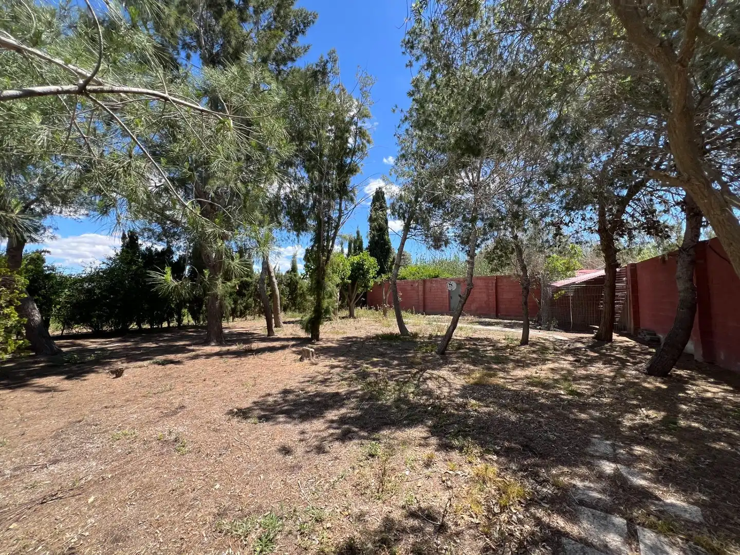 Country house with pool for sale in Dolores, imagen 34