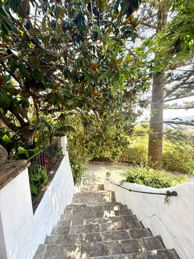 Jardín de Casa o chalet en venta en Algeciras con Jardín privado, Terraza y Piscina