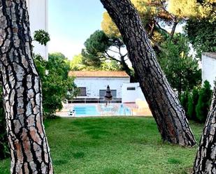 Garden of House or chalet for sale in  Córdoba Capital  with Private garden