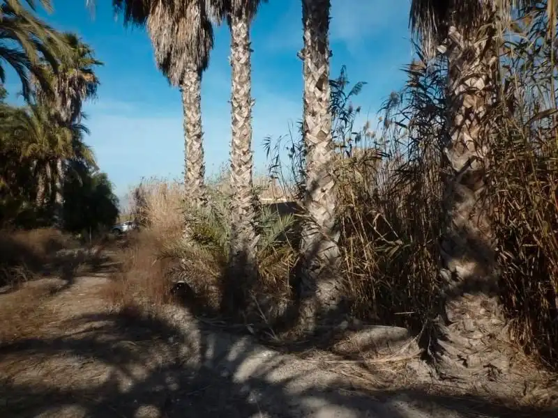 Terreno rustico in vendita a Calle Valle Inclán 7, imagen 27