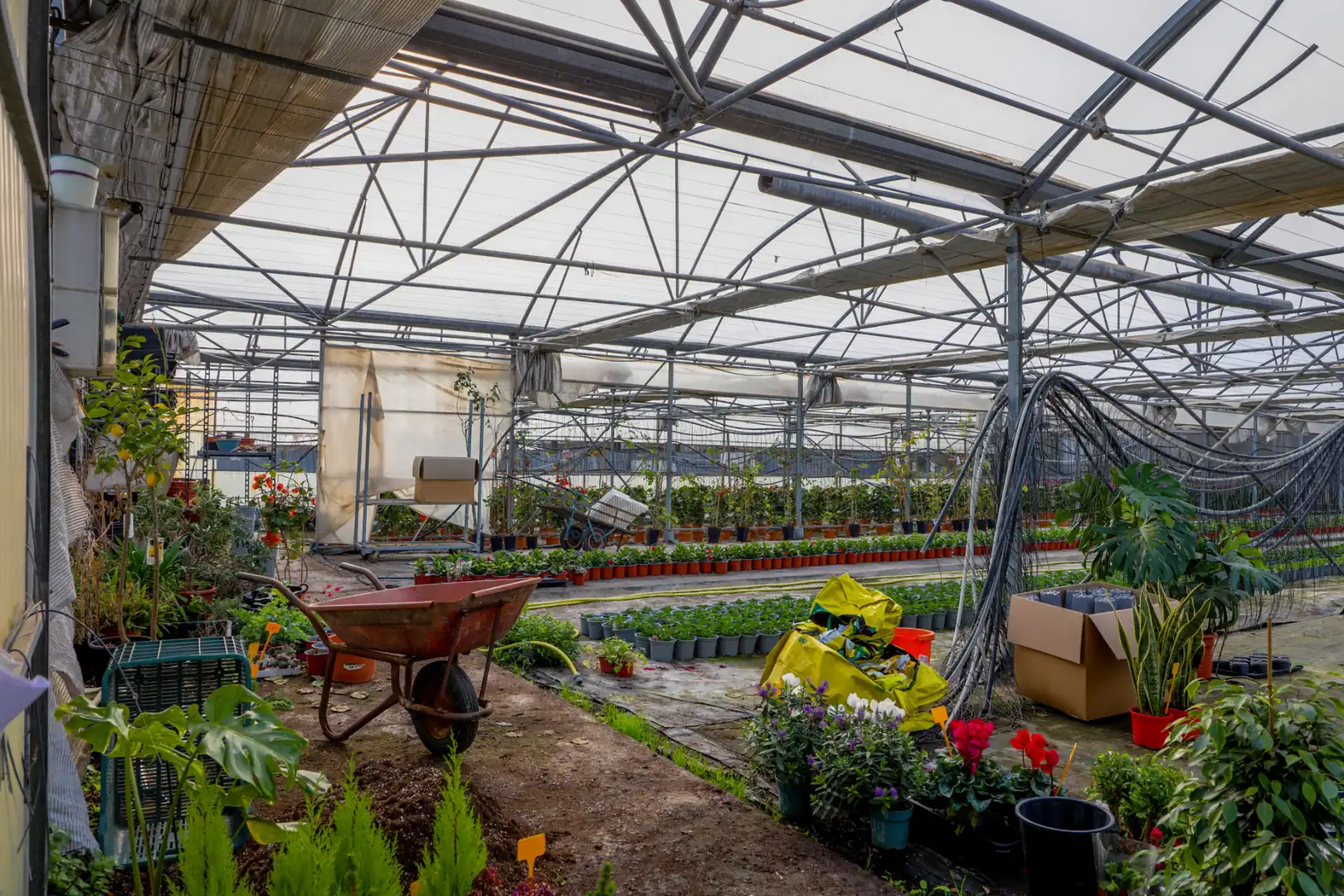 Garten von Grundstücke zum Verkauf in Vilassar de Mar