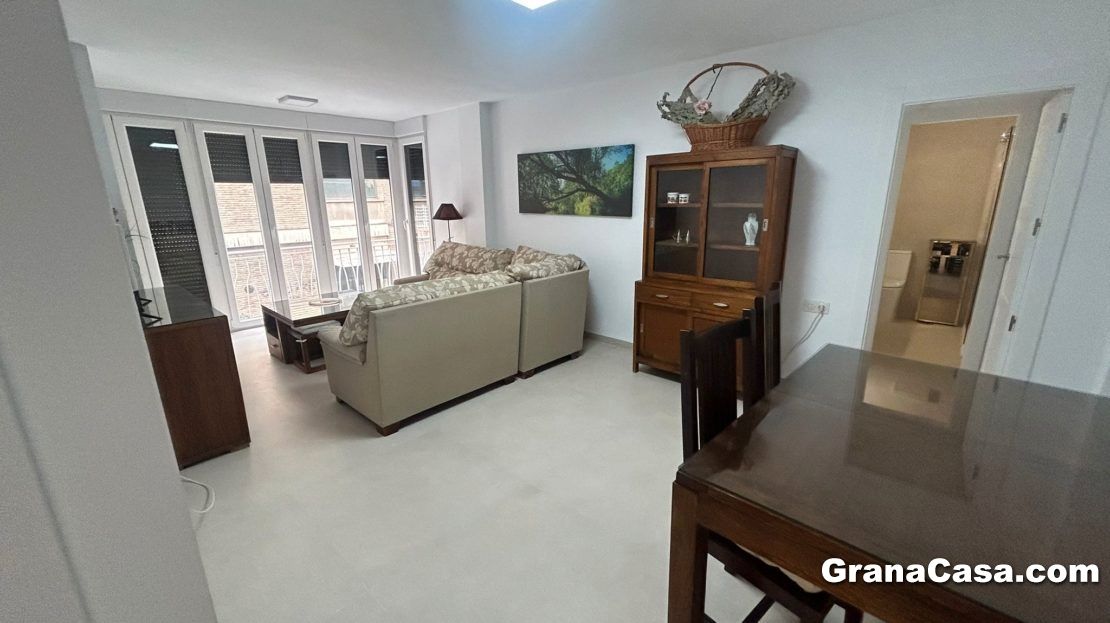 Living room of Flat to rent in  Granada Capital  with Heating, Terrace and Furnished