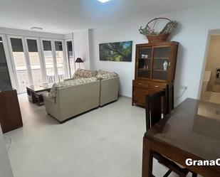 Living room of Flat to rent in  Granada Capital  with Heating, Terrace and Furnished