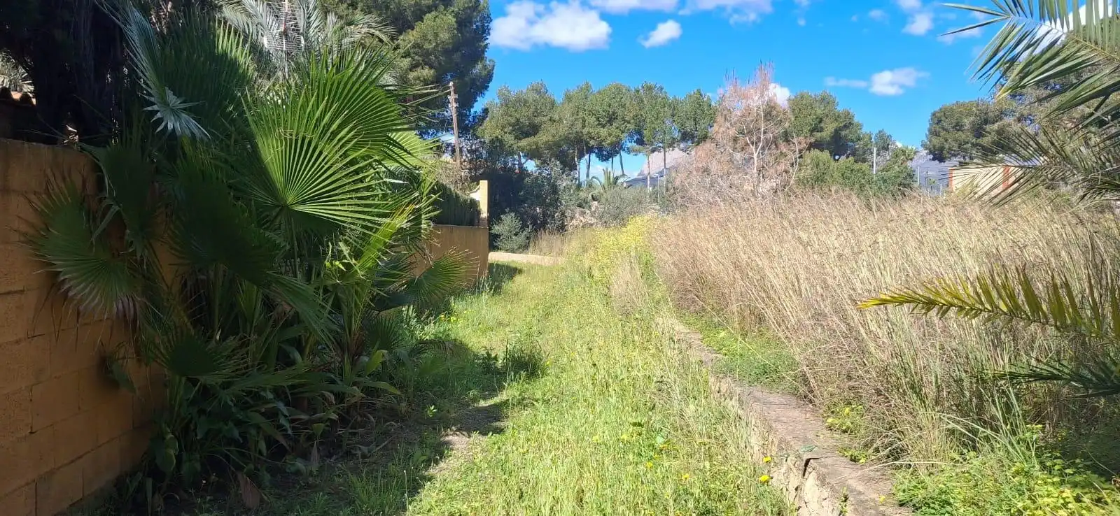 Country homes for sale in Benidorm  with Private garden, Terrace and Storage room