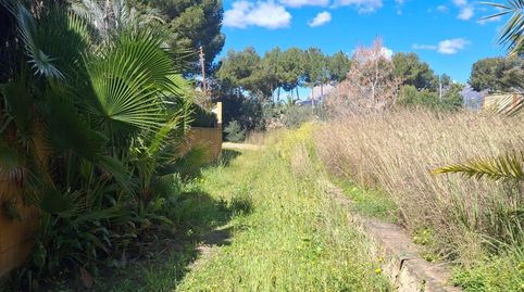 Foto 3 de Finca rústica en venta en Rincón Bajo, Benidorm