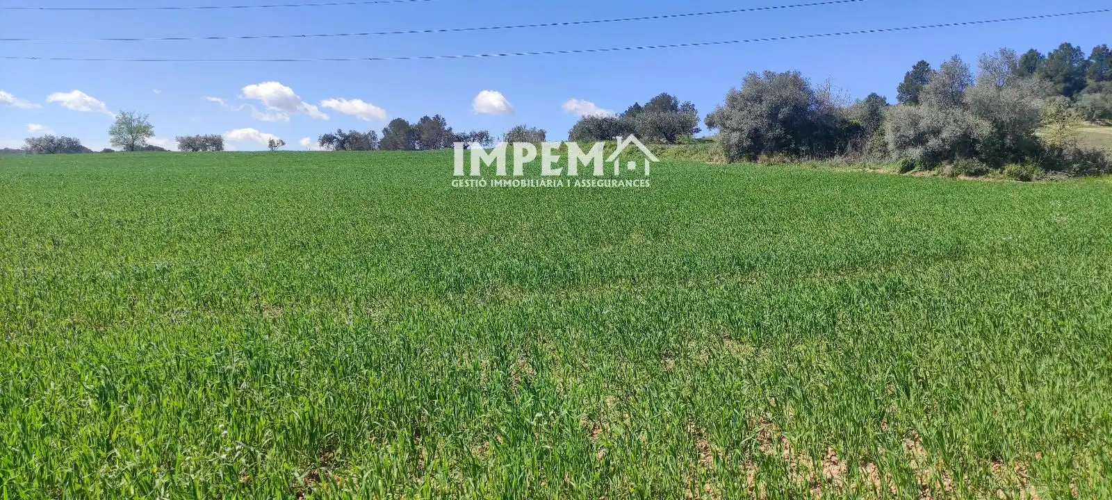 Terreno en venta en Sant Llorenç d'Hortons