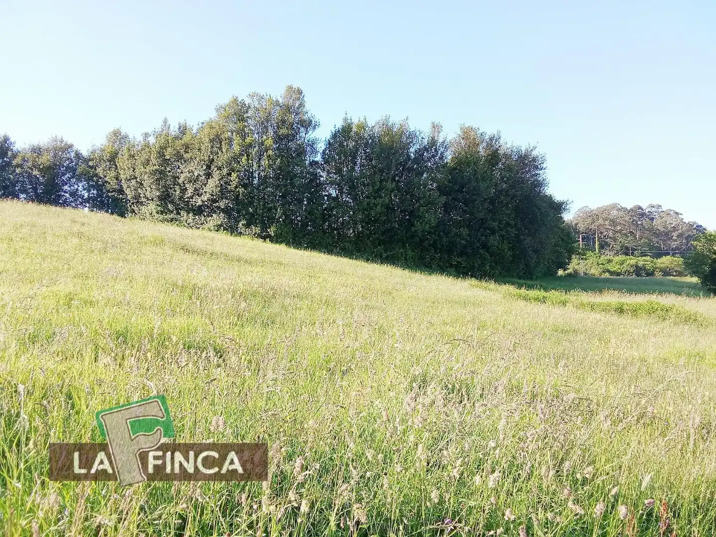 Lands and plots for sale in ALTO DEL PRAVIANO, imagen 7