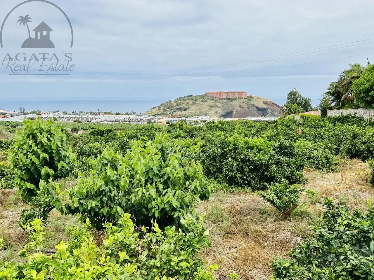 Finca rústica en venta en La Orotava con Jardín privado y Terraza