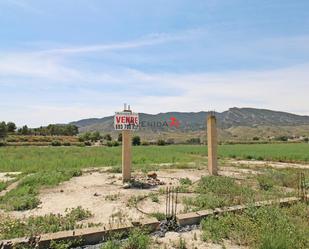 Land for sale in Lorca