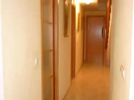 Attique avec ascenseur à vendre à cesar cataldo 9, imagen 8