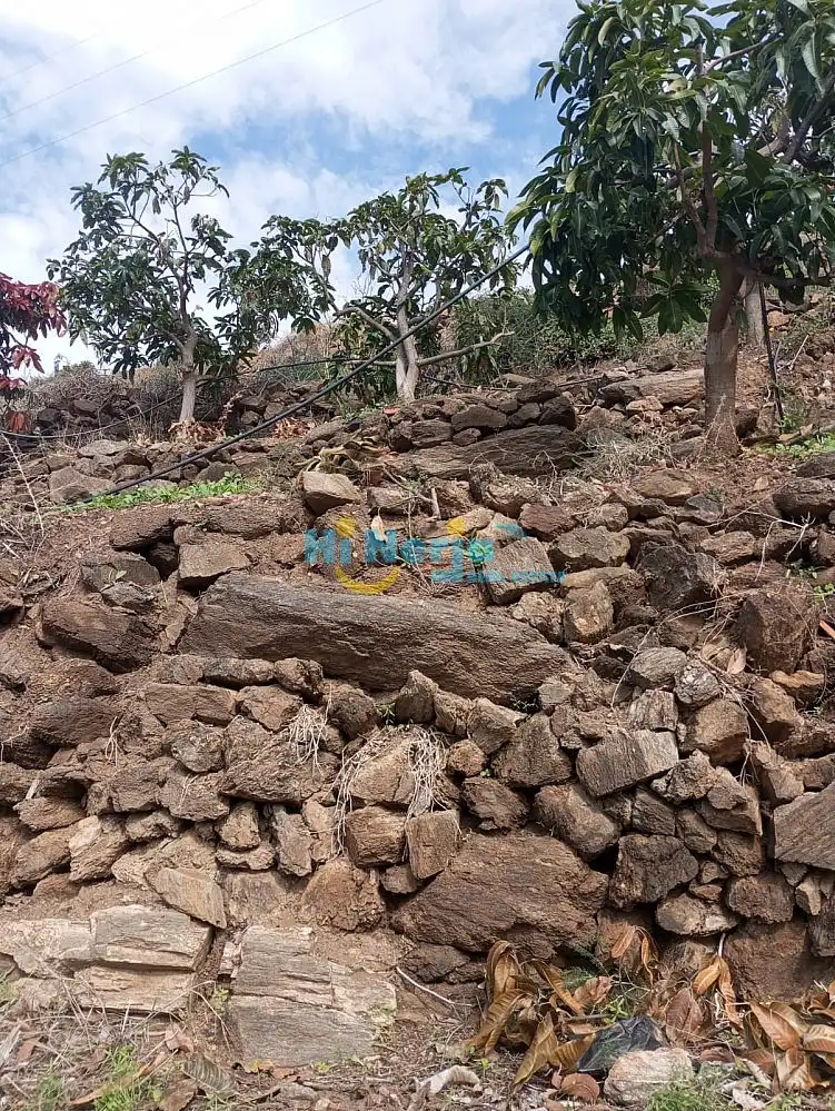 Terrenys i solars en venda a Algarrobo pueblo, imagen 5