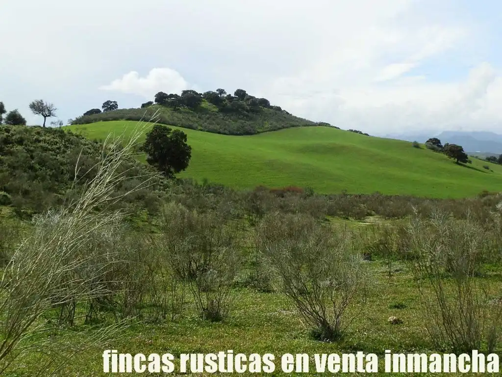 Terreno rustico in vendita a Algodonales, imagen 12