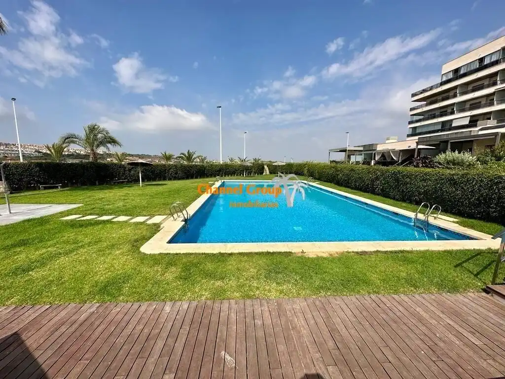 Swimming pool of Apartments for rent in Elche / Elx  with Terrace, Storage room and Furnished