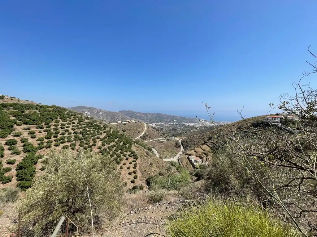 Vista exterior de Finca rústica en venda en Torrox
