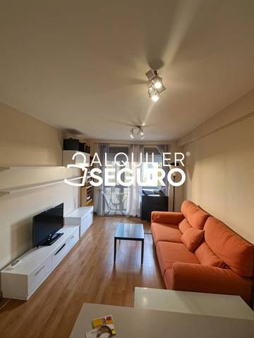 Piso en Alquiler en Agricultor en Ayuntamiento - Avenida Siglo XXI